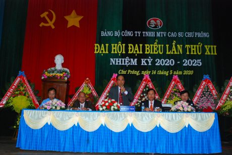 Cao su Chư Prông định hướng tập trung đầu tư chiều sâu